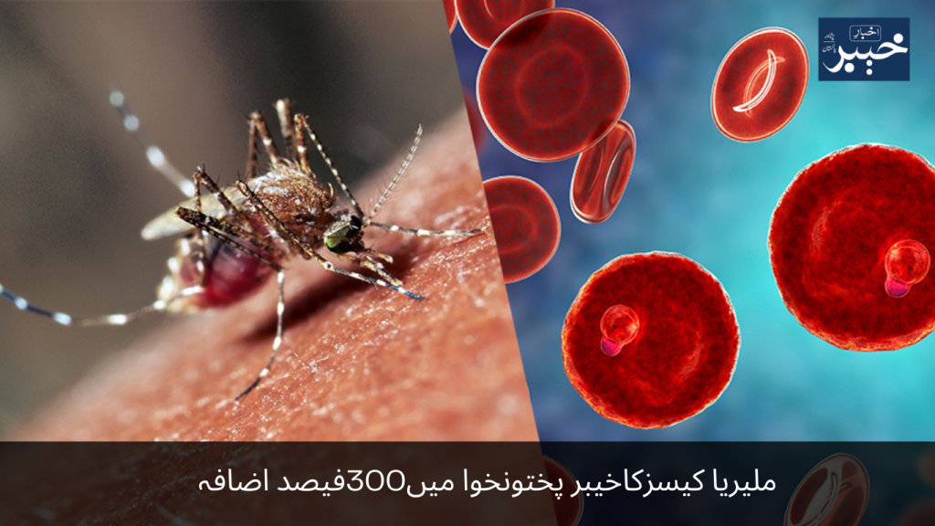 300% increase in malaria cases in Khyber Pakhtunkhwa