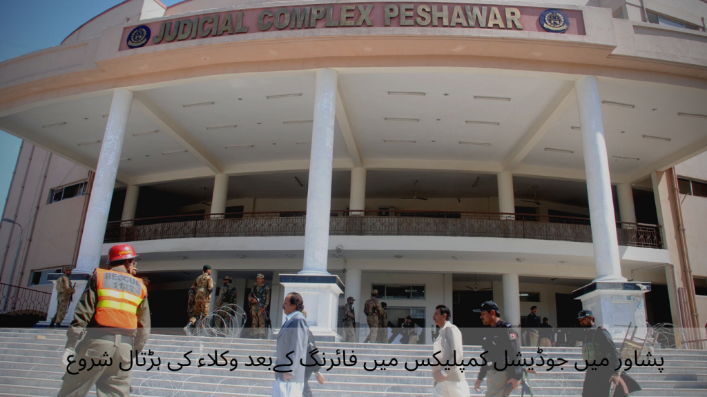 After the shooting in the judicial complex in Peshawar, the lawyers' strike began