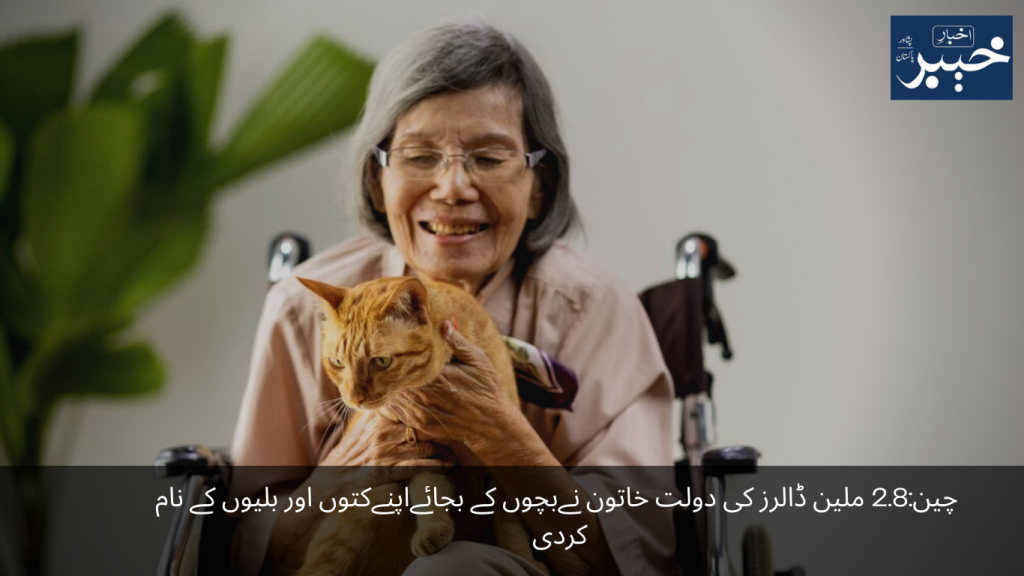 China The wealth of 2.8 million dollars was given by the woman to her cats and cats instead of children