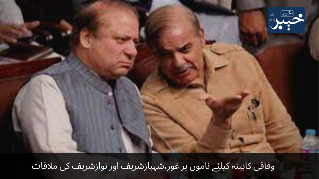 Consideration of names for the federal cabinet, Shahbaz Sharif and Nawaz Sharif meeting