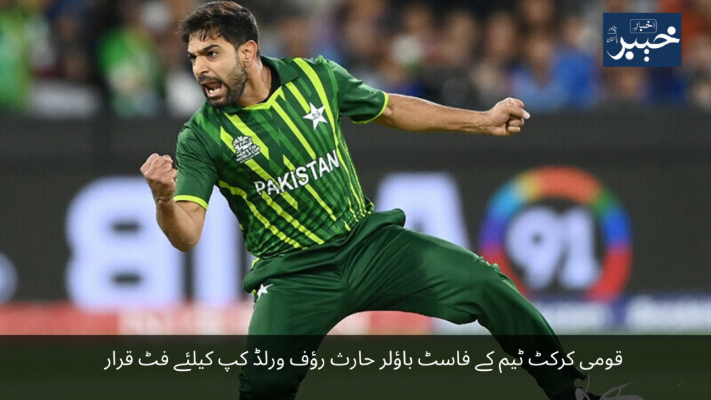 National cricket team's fast bowler Haris Rauf declared fit for World Cup