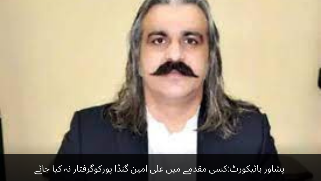 Peshawar High Court Ali Amin Gandapur should not be arrested in any case