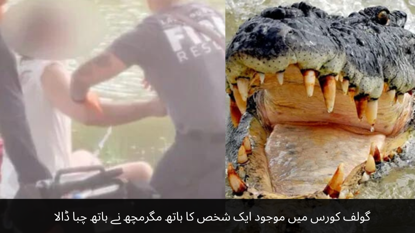 A man's hand was chewed off by a crocodile while on the golf course