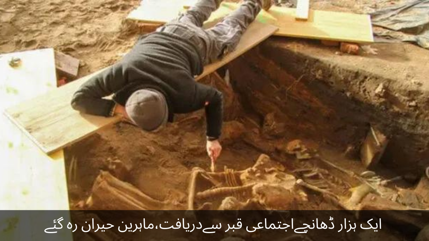 A thousand structures discovered in a mass grave, experts were surprised