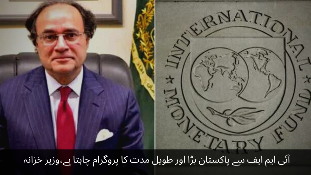 Pakistan wants big and long term program from IMF, Finance Minister