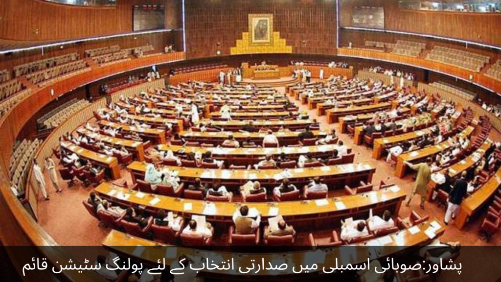 Peshawar: A polling station has been set up for the presidential election in the provincial assembly