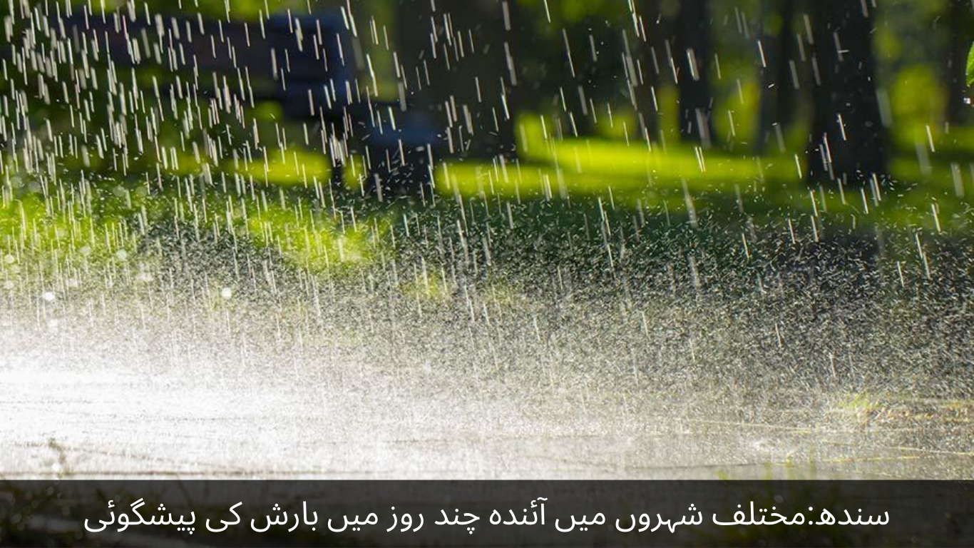 Sindh Forecast of rain in next few days in different cities