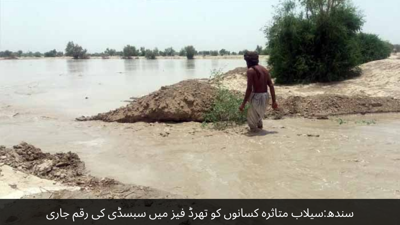 Sindh Subsidy money released to flood affected farmers in the third phase