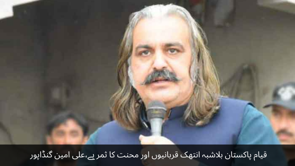 The establishment of Pakistan is undoubtedly the result of tireless sacrifices and hard work, Ali Amin Gandapur