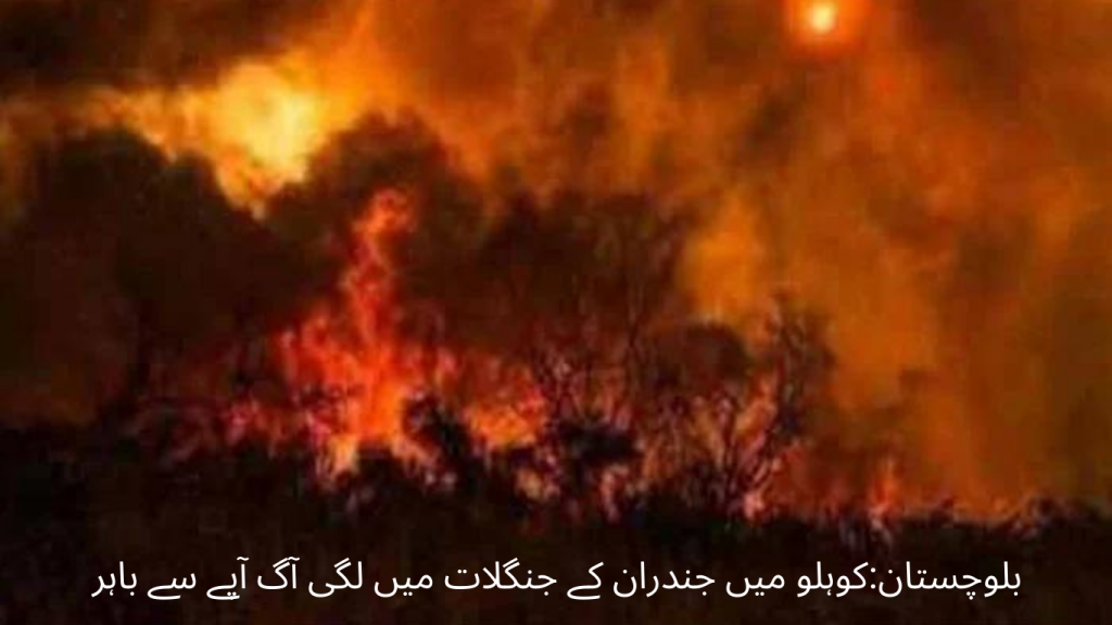 Balochistan Fire broke out in Jandran forests in Kohlu