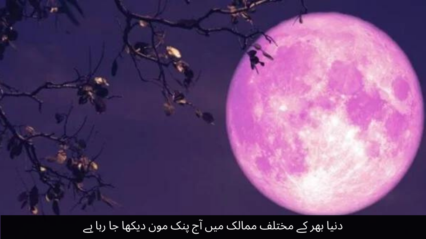 Pink Moon is being observed today in different countries around the world