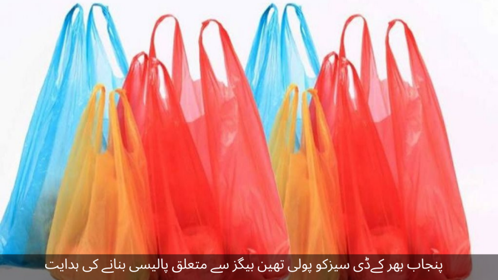 Direction to make policy regarding polythene bags to KDCZ across Punjab