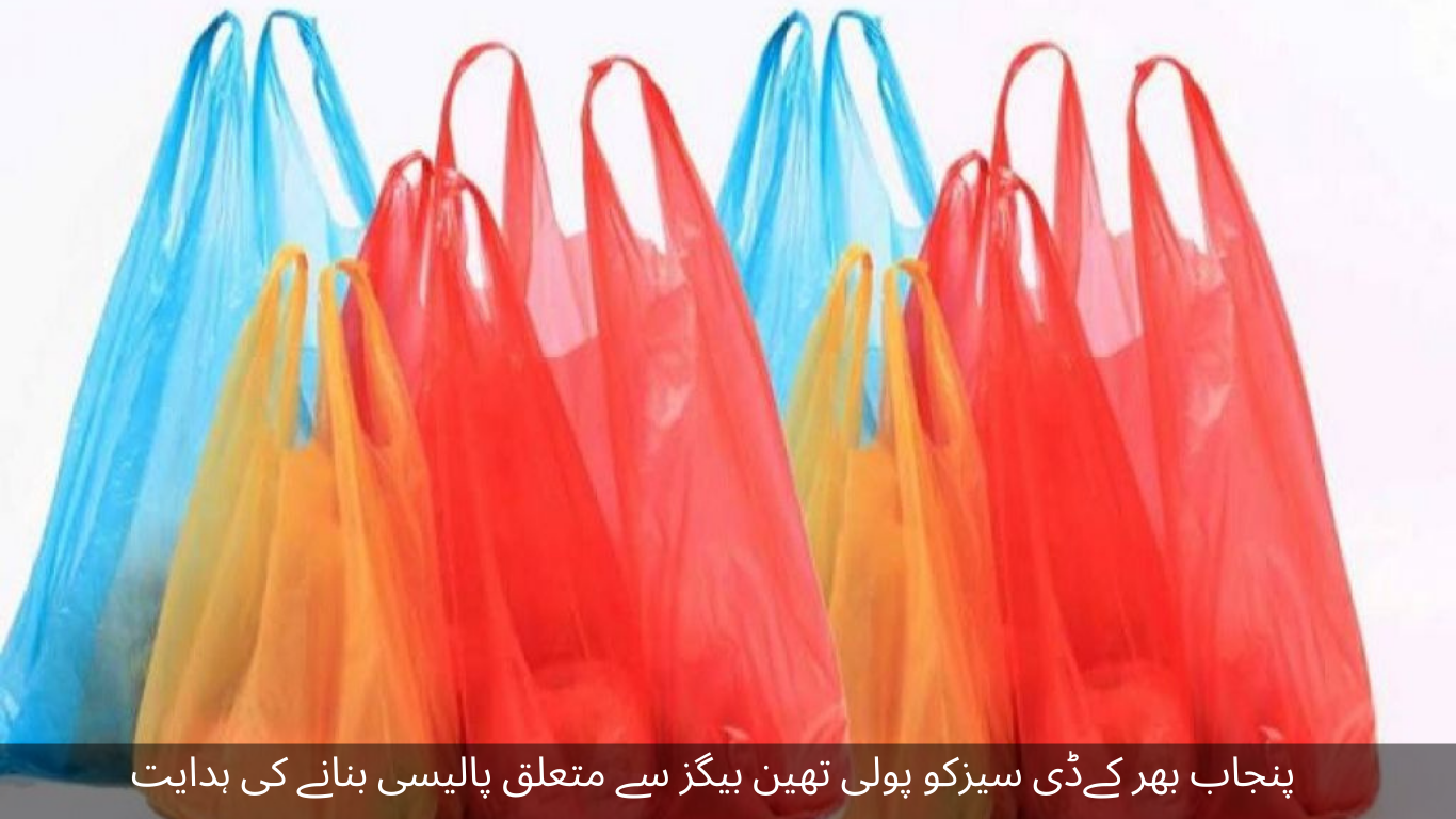 Direction to make policy regarding polythene bags to KDCZ across Punjab