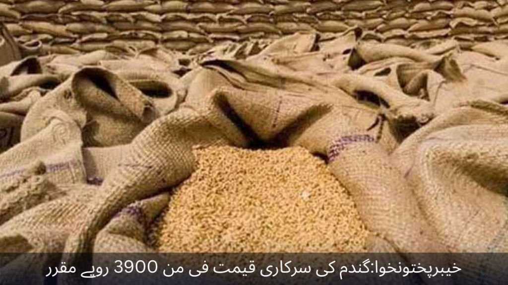 Khyber Pakhtunkhwa The official price of wheat has been fixed at Rs 3900 per maund