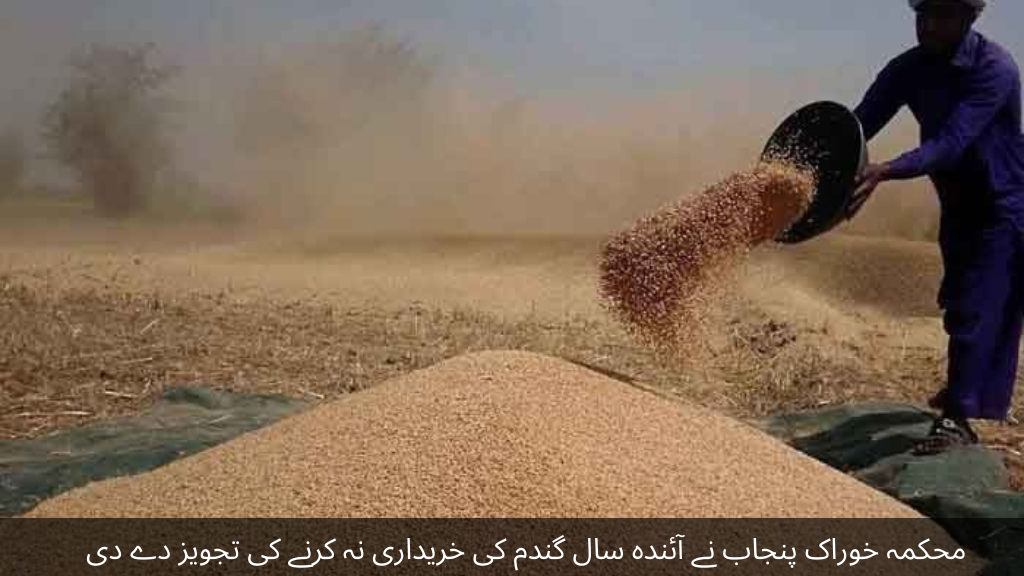 Punjab Food Department has suggested not to buy wheat next year