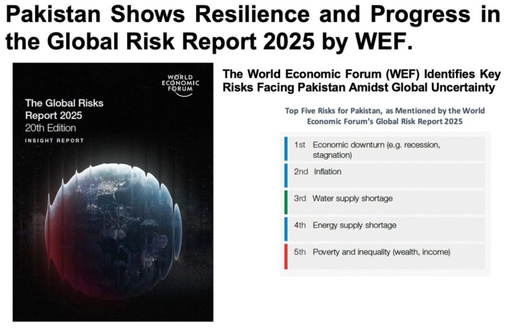 World Economic Forum Global Risk Report 2025