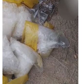 ڈی آئی خان میں کروڑوں روپے مالیت کی 20 کلو آئس برآمد، ملزم گرفتار Drug Smuggling Bid Foiled in D.I. Khan