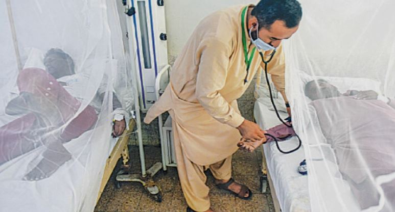 خیبر پختونخوا میں ڈینگی کیسز 250 تک پہنچ گئے، پشاور ڈینگی سے سب سے زیادہ متاثرہ ضلع رہا KP dengue cases rise to 250 as 35 new infections reported in a week