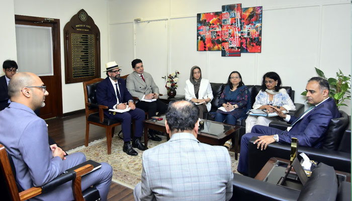 پاکستان میں ڈیجیٹل لین دین کرنے والوں کی تعداد 20 لاکھ سے تجاوز